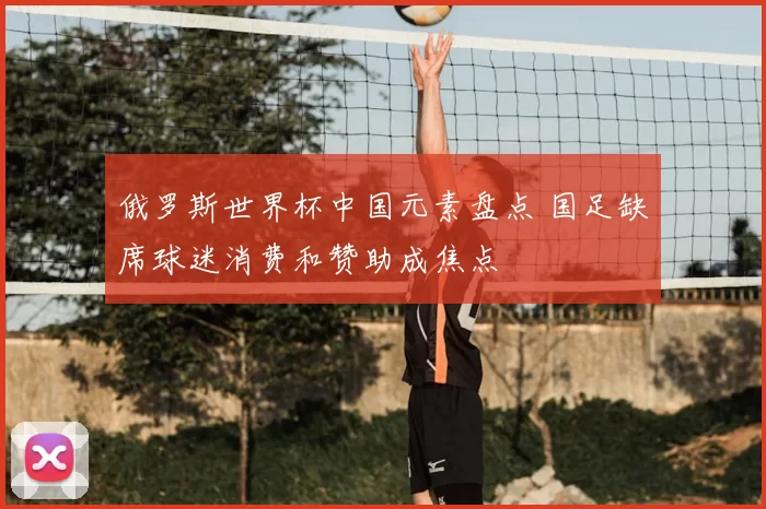 俄罗斯世界杯中国元素盘点 国足缺席球迷消费和赞助成焦点