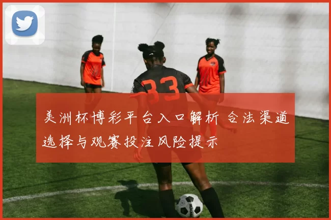 美洲杯博彩平台入口解析 合法渠道选择与观赛投注风险提示